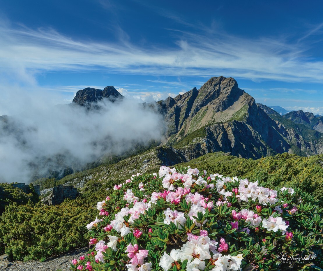 夏日生機蓬勃的山景
